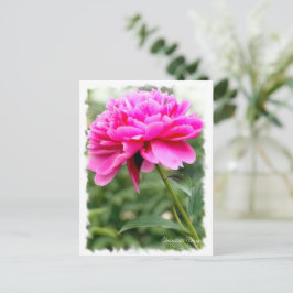 Chinese pony [Briefkaart] ポ ス カ ー ド Briefkaart