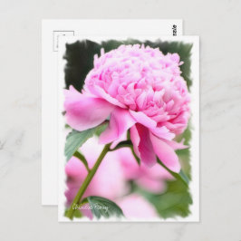 Chinese pony [Briefkaart] ポ ス カ ー ド Briefkaart