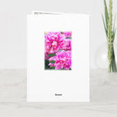 Chinese pony [Wenskaart] カ ー ド Kaart (Achterkant)