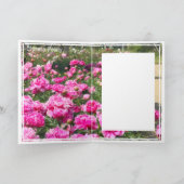 Chinese pony [Wenskaart] カ ー ド Kaart (Binnen)