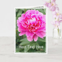 Chinese pony [Wenskaart] カ ー ド Kaart