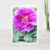 Chinese pony [Wenskaart] カ ー ド Kaart (Voorkant)