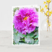 Chinese pony [Wenskaart] カ ー ド Kaart (Gele Bloem)