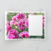 Chinese pony [Wenskaart] カ ー ド Kaart (Binnen)