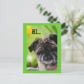 Chinese Pug Dog Hi Briefkaart (Staand voorkant)