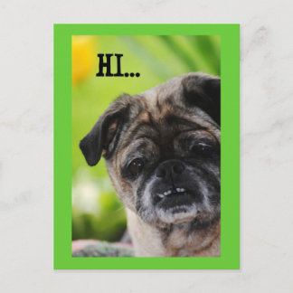 Chinese Pug Dog Hi Briefkaart