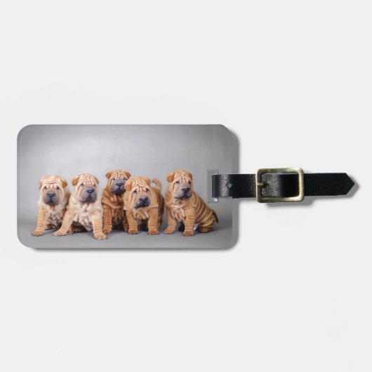 Chinese puppies met Shar pei Bagagelabel (Voorkant horizontaal)