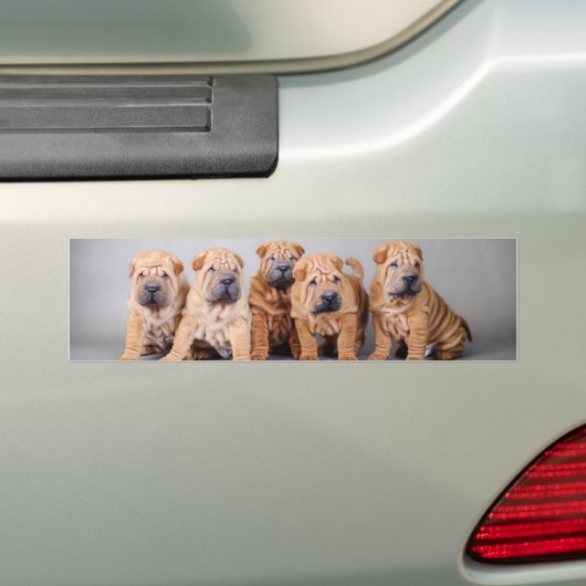 Chinese puppies met Shar pei Bumpersticker (Op auto)