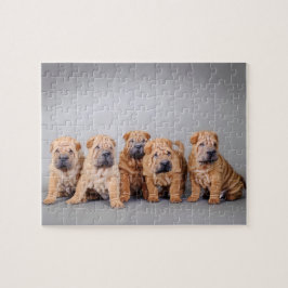Chinese puppies met Shar pei Legpuzzel