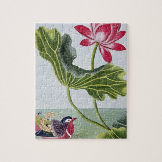 Chinese Red Water Lily, Deel I, bord 82, uit ' Legpuzzel (Verticaal)