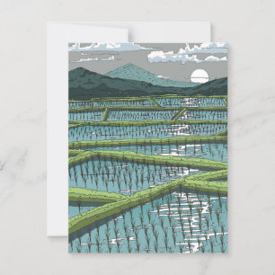 Chinese Rijstveld Briefkaart