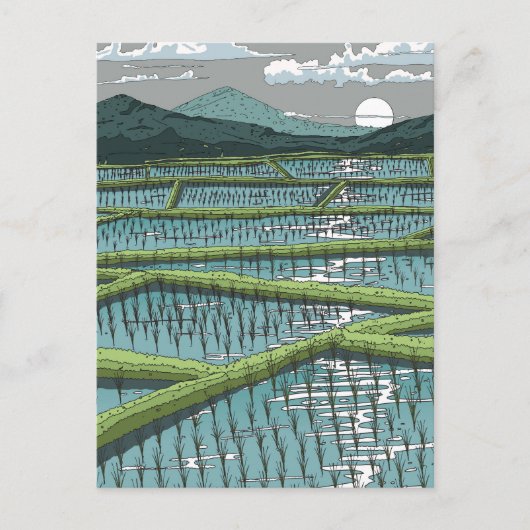 Chinese Rijstveld Briefkaart (Voorkant)