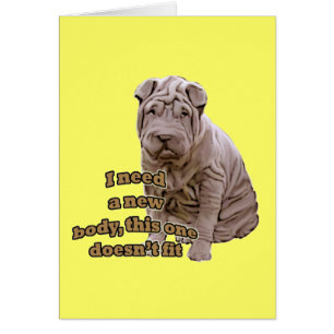Chinese shar Pei