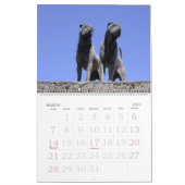 Chinese Shar Pei 15 maanden kalender (Mar 2027)
