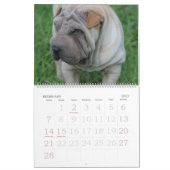 Chinese Shar Pei 15 maanden kalender (Feb 2027)