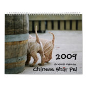 Chinese Shar Pei 15 maanden kalender (Hoes)