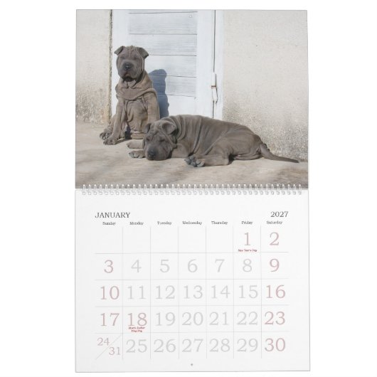 Chinese Shar Pei 15 maanden kalender (Jan 2027)