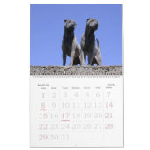 Chinese Shar Pei 15 maanden kalender (Mar 2026)
