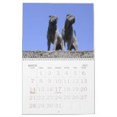 Chinese Shar Pei 15 maanden Kalender (Mar 2027)