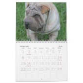 Chinese Shar Pei 15 maanden Kalender (Feb 2026)