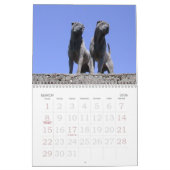 Chinese Shar Pei 15 maanden Kalender (Mar 2026)