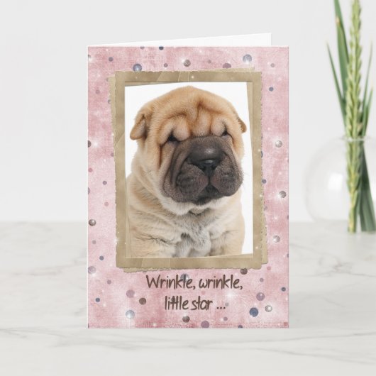 Chinese Shar-pei Birthday Humor Kaart (Voorkant)
