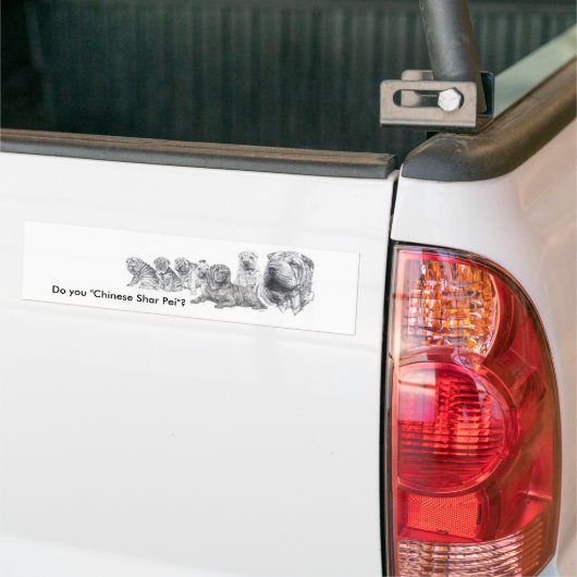 Chinese Shar Pei Bumpersticker (Op Truck)