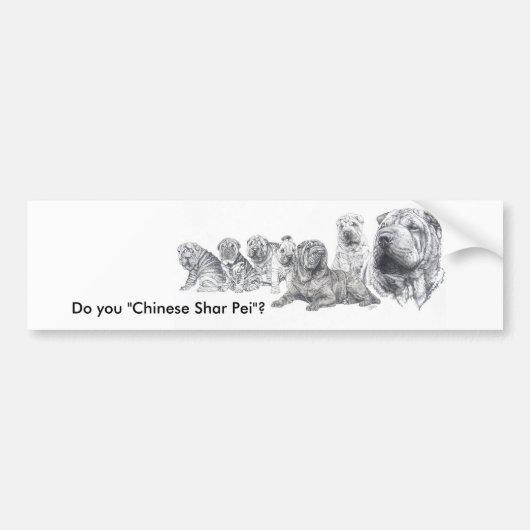 Chinese Shar Pei Bumpersticker (Voorkant)