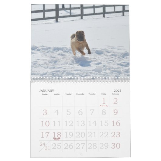 Chinese Shar-pei Calendar Kalender (Jan 2027)