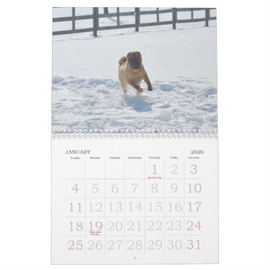 Chinese Shar-pei Calendar Kalender (Jan 2026)
