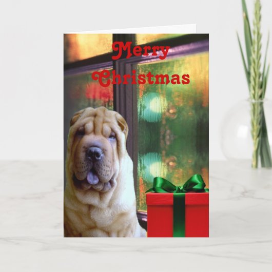Chinese Shar-pei Christmas Cards Feestdagen Kaart (Voorkant)