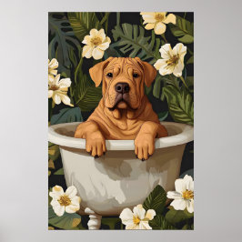 Chinese Shar Pei In Badposter, Grappige Hond Poster