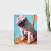 Chinese shar-Pei Kaart (Voorkant)