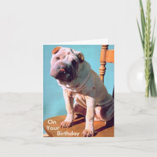 Chinese shar-Pei Kaart