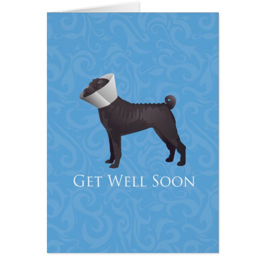 Chinese Shar Pei krijgt binnenkort een Hondenras k (Voorkant)