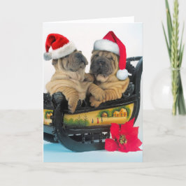 Chinese Shar pei met x-mas petten Feestdagen Kaart