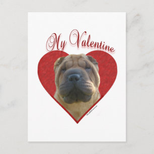 Chinese Shar Pei Mijn Valentijn Feestdagenkaart