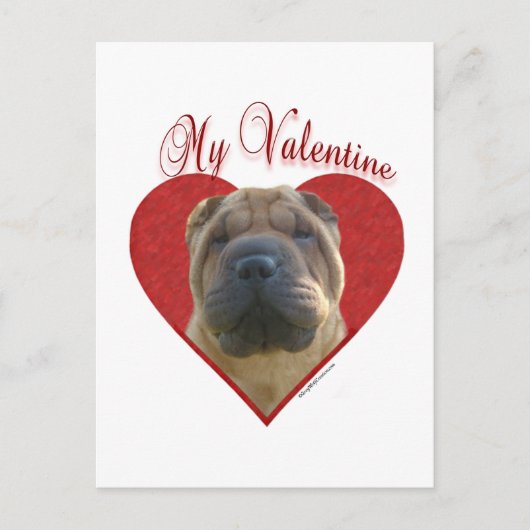 Chinese Shar Pei Mijn Valentijn Feestdagenkaart (Voorkant)