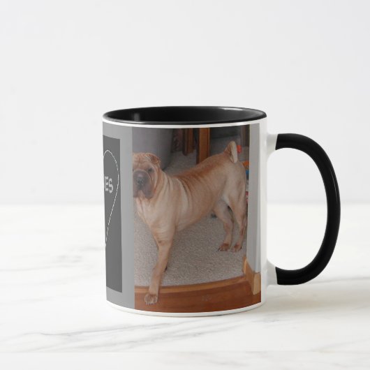 Chinese Shar pei-Mok Mok (Rechts)