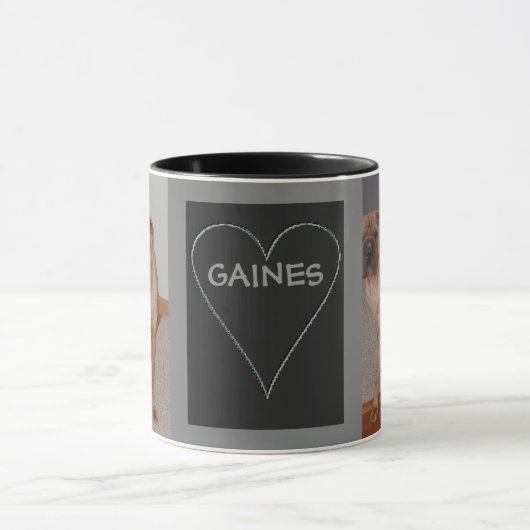 Chinese Shar pei-Mok Mok (Midden)