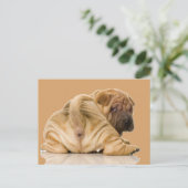 Chinese Shar-pei Puppy Dog Briefkaart (Staand voorkant)