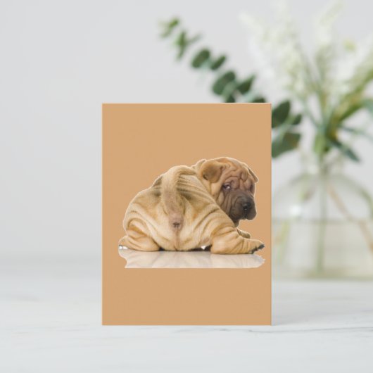 Chinese Shar-pei Puppy Dog Briefkaart (Staand voorkant)