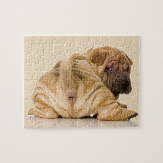Chinese Shar-pei Puppy Dog Legpuzzel (Horizontaal)