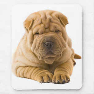 Chinese Shar Pei Puppy Dog - Sharpei Muismat