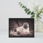  Chinese Shar Pei Wrinkles, puppy Dogs Briefkaart (Staand voorkant)