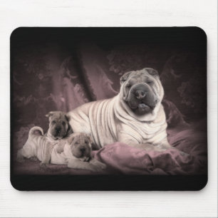  Chinese Shar Pei Wrinkles, puppy Dogs Muismat