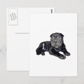 Chinese Shar Pei - zwarte puppy Briefkaart (Voorkant / Achterkant)