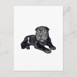 Chinese Shar Pei - zwarte puppy Briefkaart
