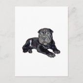 Chinese Shar Pei - zwarte puppy Briefkaart (Voorkant)