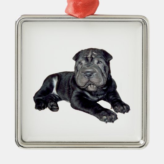 Chinese Shar Pei - zwarte puppy Metalen Ornament (Voorkant)